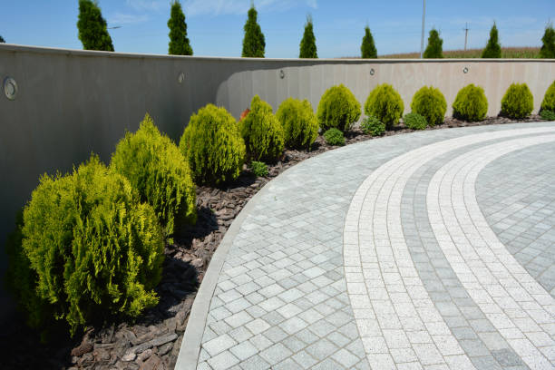 Best Commercial Driveway Pavers  in Tampa, FL